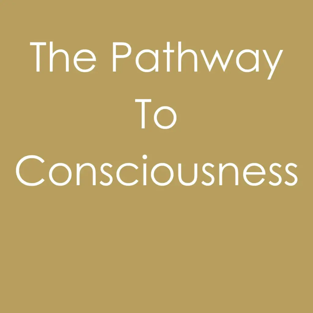 The Pathway To Consciousness - Gedeelde Kamer & Badkamer [Gespreid in 2 betalingen]