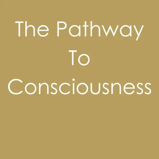 The Pathway To Consciousness - Gedeelde Kamer & Badkamer [Gespreid in 2 betalingen]